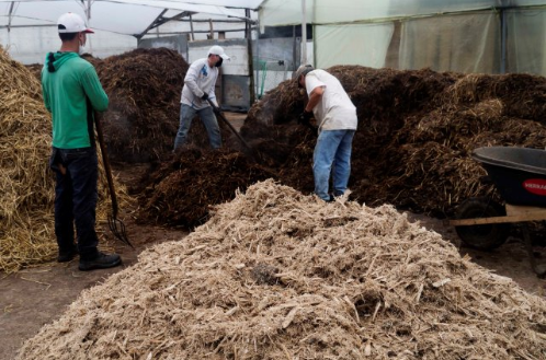 Venta de Compost Agrochamp Espinal Tolima