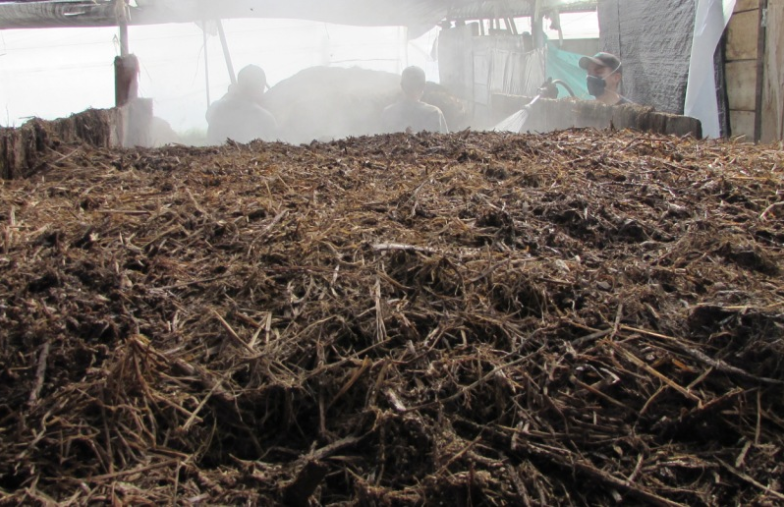 Venta de Compost Agrochamp Espinal Tolima