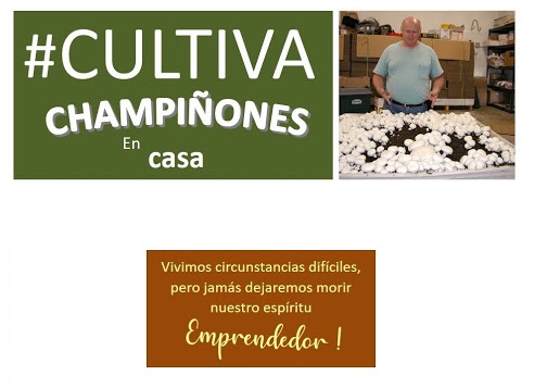 Cursos Online AgroChamp venta de compost